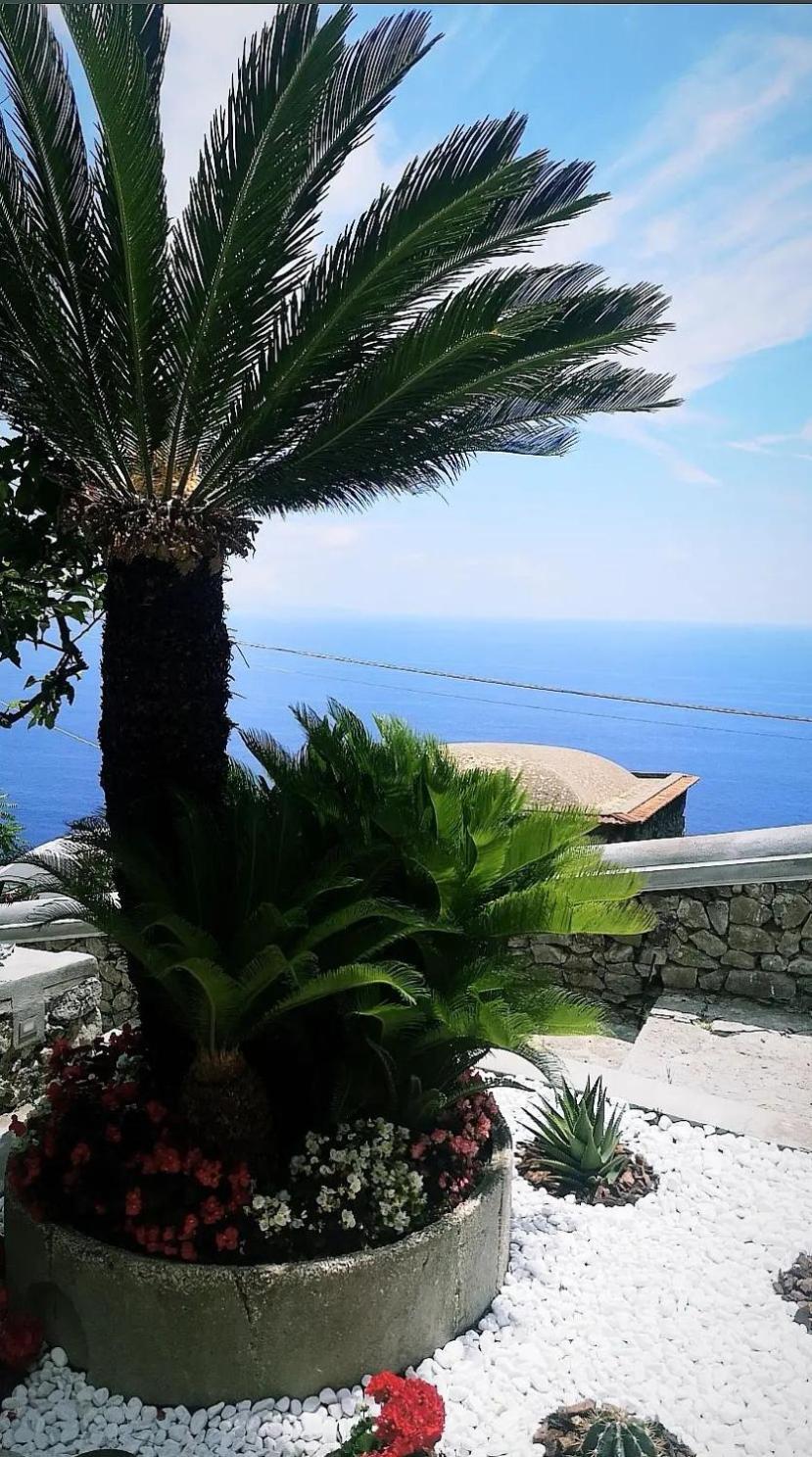 Villa Furoris Apartment Фуроре Екстериор снимка
